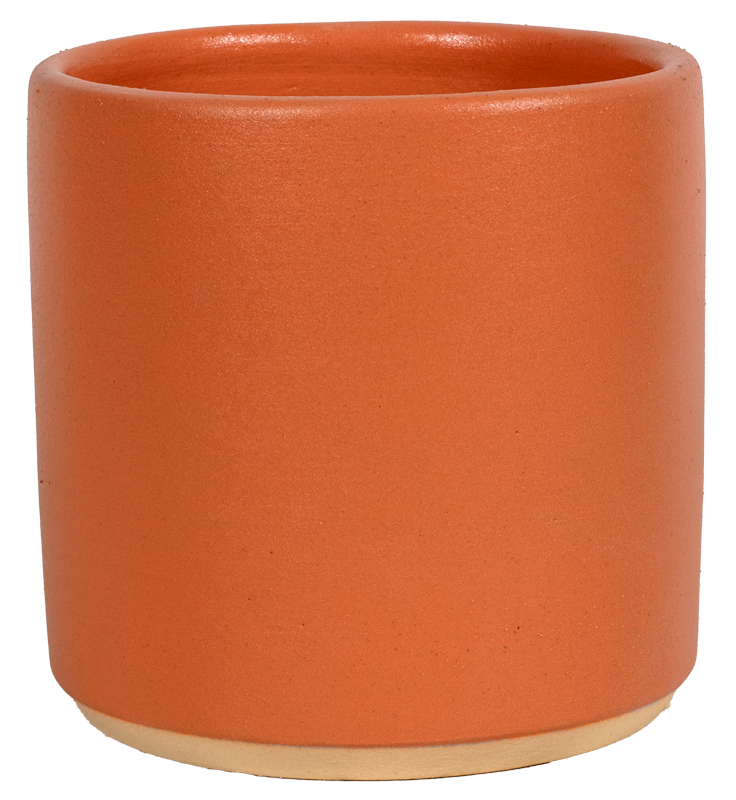 6" Cylinder - Variety Color