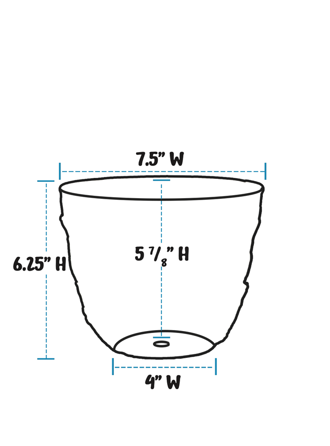 Handpainted Hummingbird 8" Planter - Aged