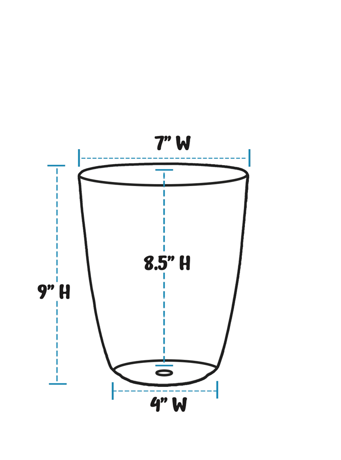 Vera Vase - Abalone