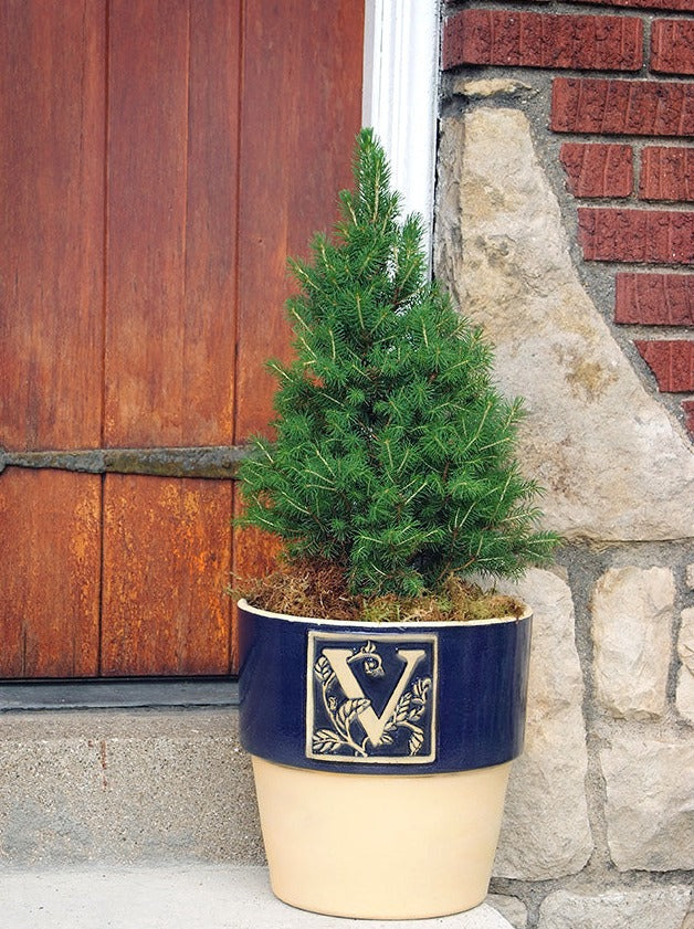 Bookplate Planter - Cobalt Blue A-Z