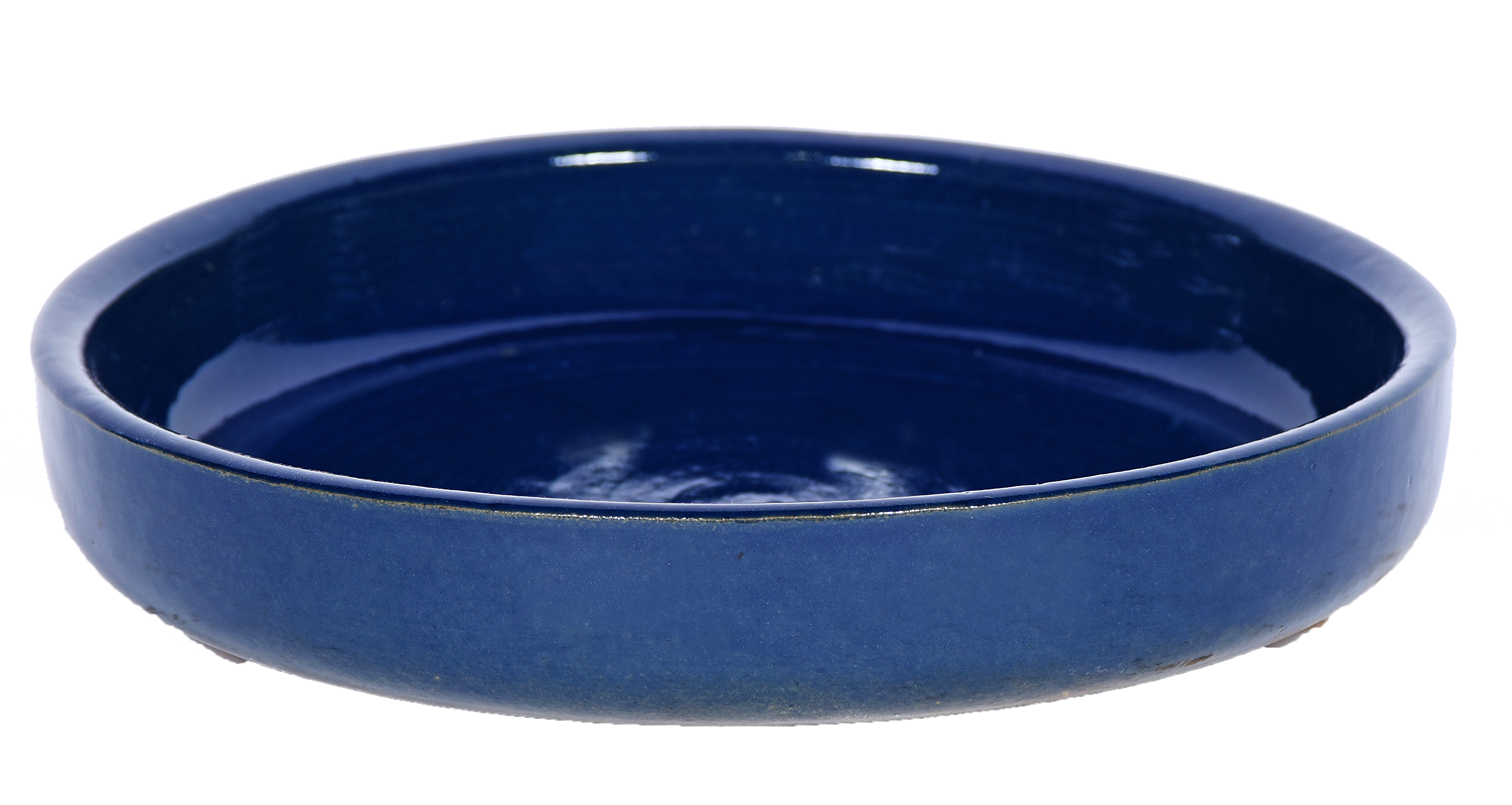 small shallow dish planter in Blue color