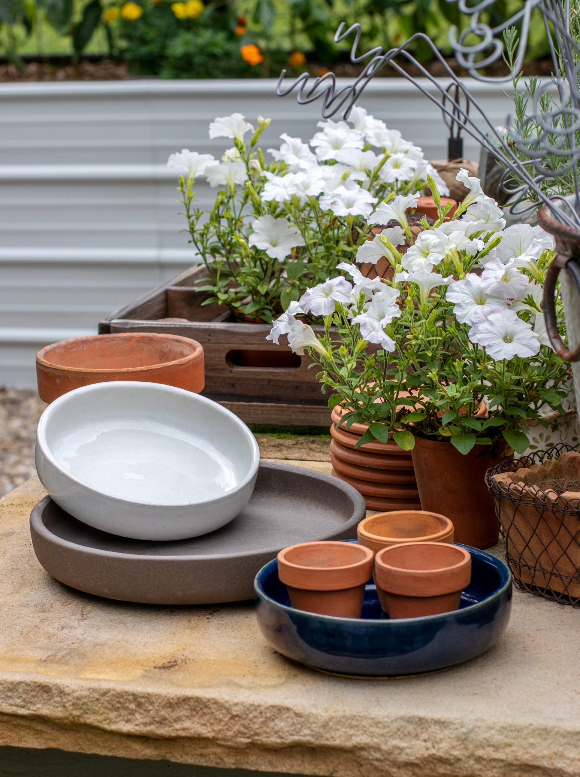 Shallow Planter 2pk Set BurleyPottery