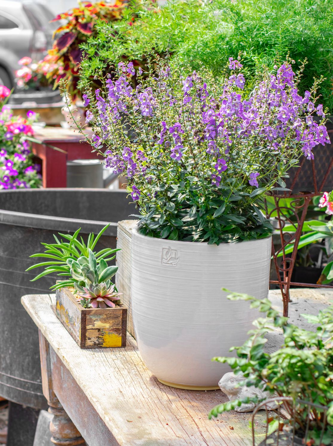 Tall rounded white ceramic planter on a garden table with purple flowers inside