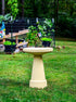 ceramic birdbath set in tan color in a landscaped garden setting