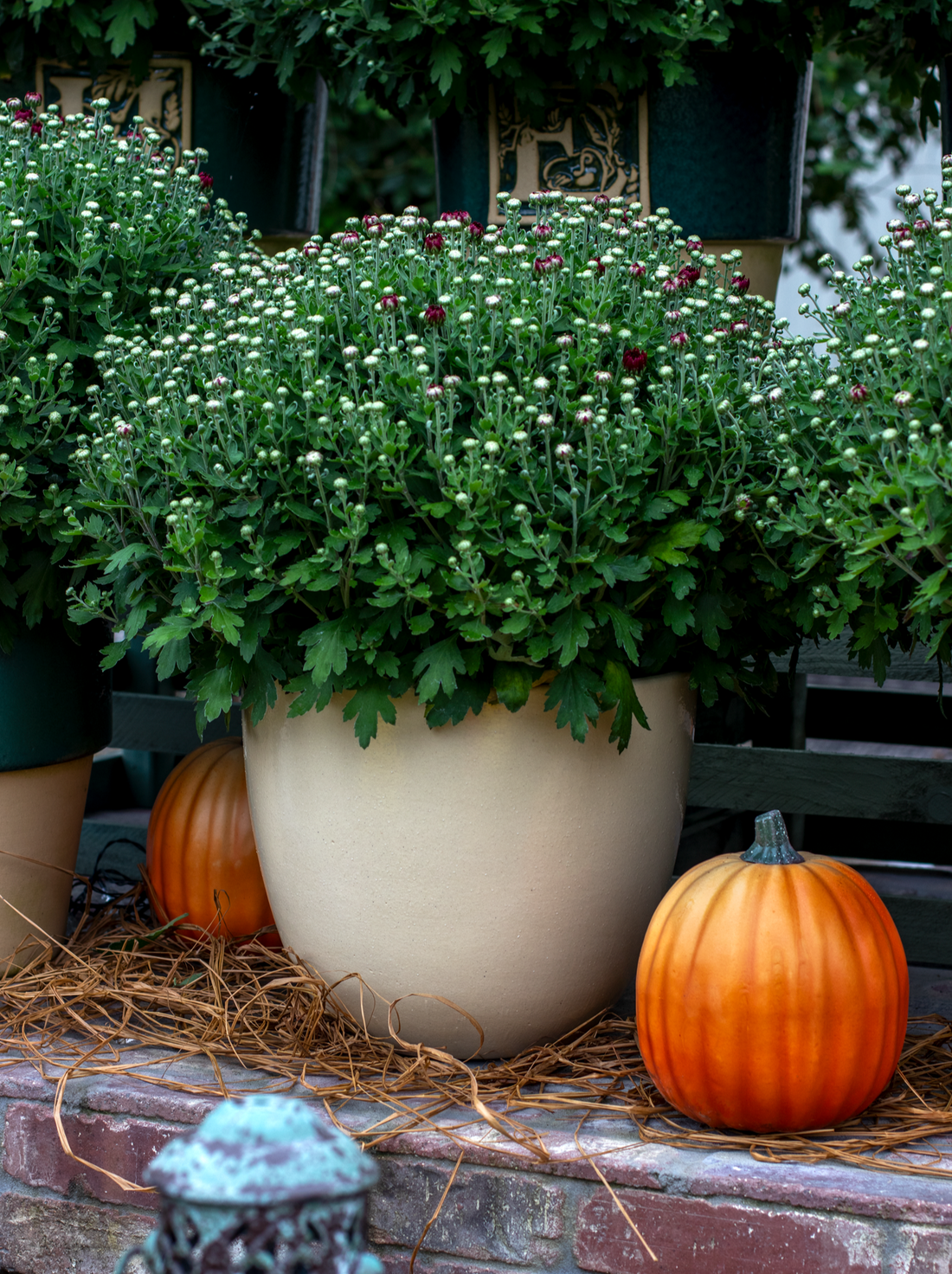 simple modern cream glazed ceramic round egg planter with mums and two orange pumpkins on a brick table