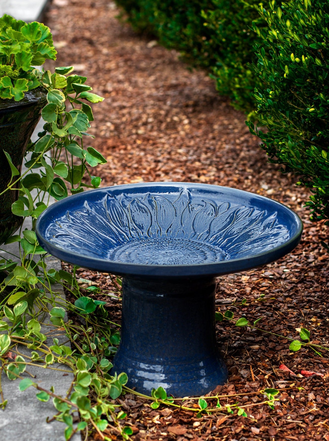 short sunflower design birdbath in blue glaze in landscaped area