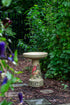 Decorative cardinal bird bath in a garden setting with greenery and flowers.