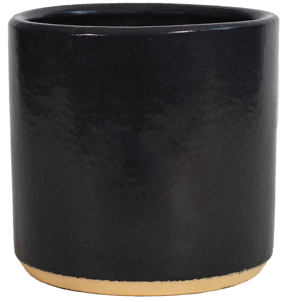 6" Cylinder - Variety Color