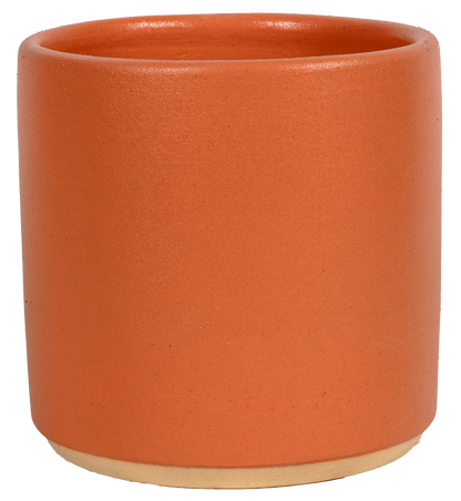 6&quot; Cylinder - Variety Color