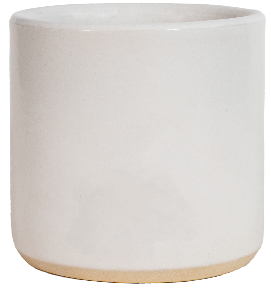 6" Cylinder - Variety Color