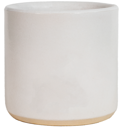 6" Cylinder - Variety Color