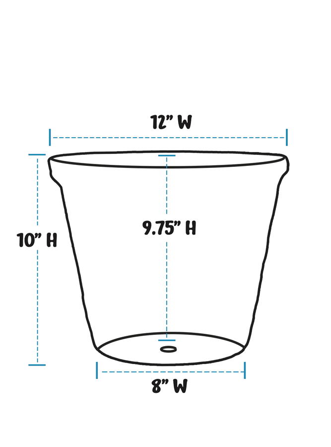 HandAged Fern 12&quot; Planter