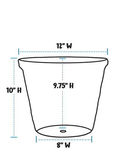 HandAged Fern 12&quot; Planter
