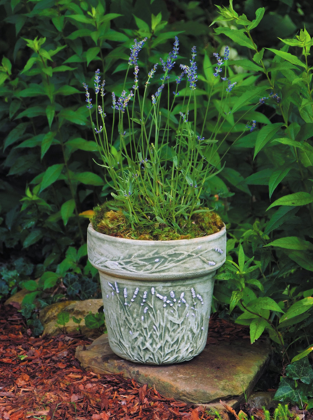ceramic hand painted planter with lavender stems in a wooded leafy area