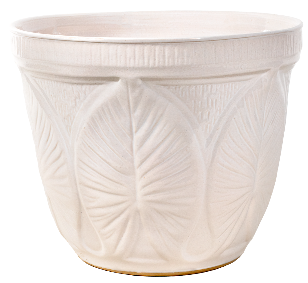 A white ceramic planter pot featuring embossed leaf patterns on the front, shown against a plain white background.