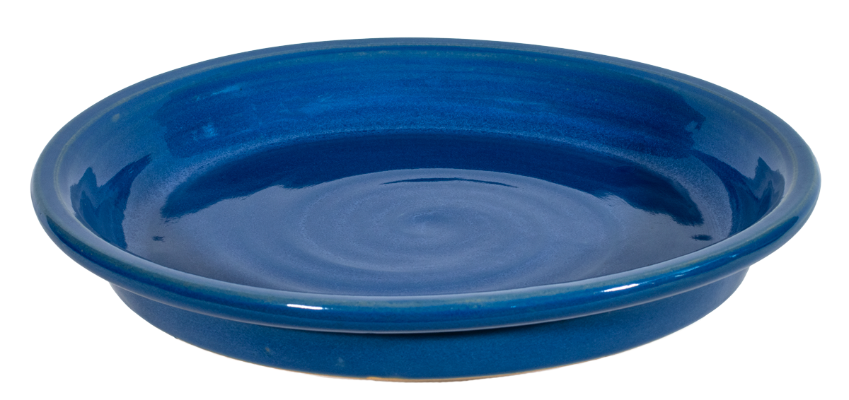 Large 14" Saucer 2pk - Various Colors