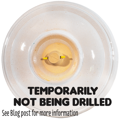 Simple Elegance Birdbath Set - White