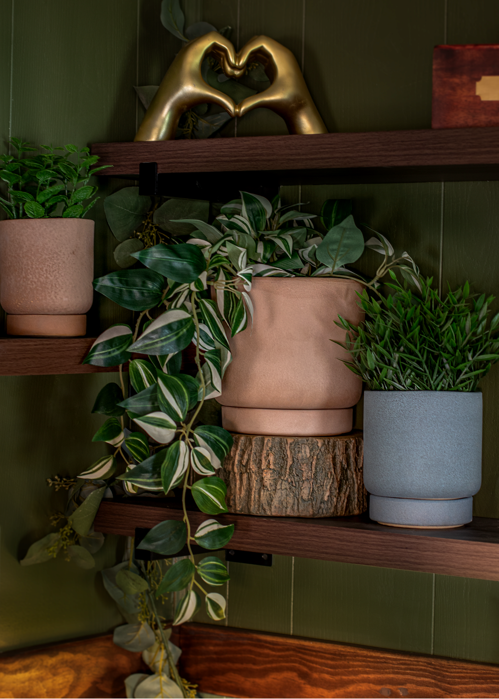 Shelves with potted plants against a green wall