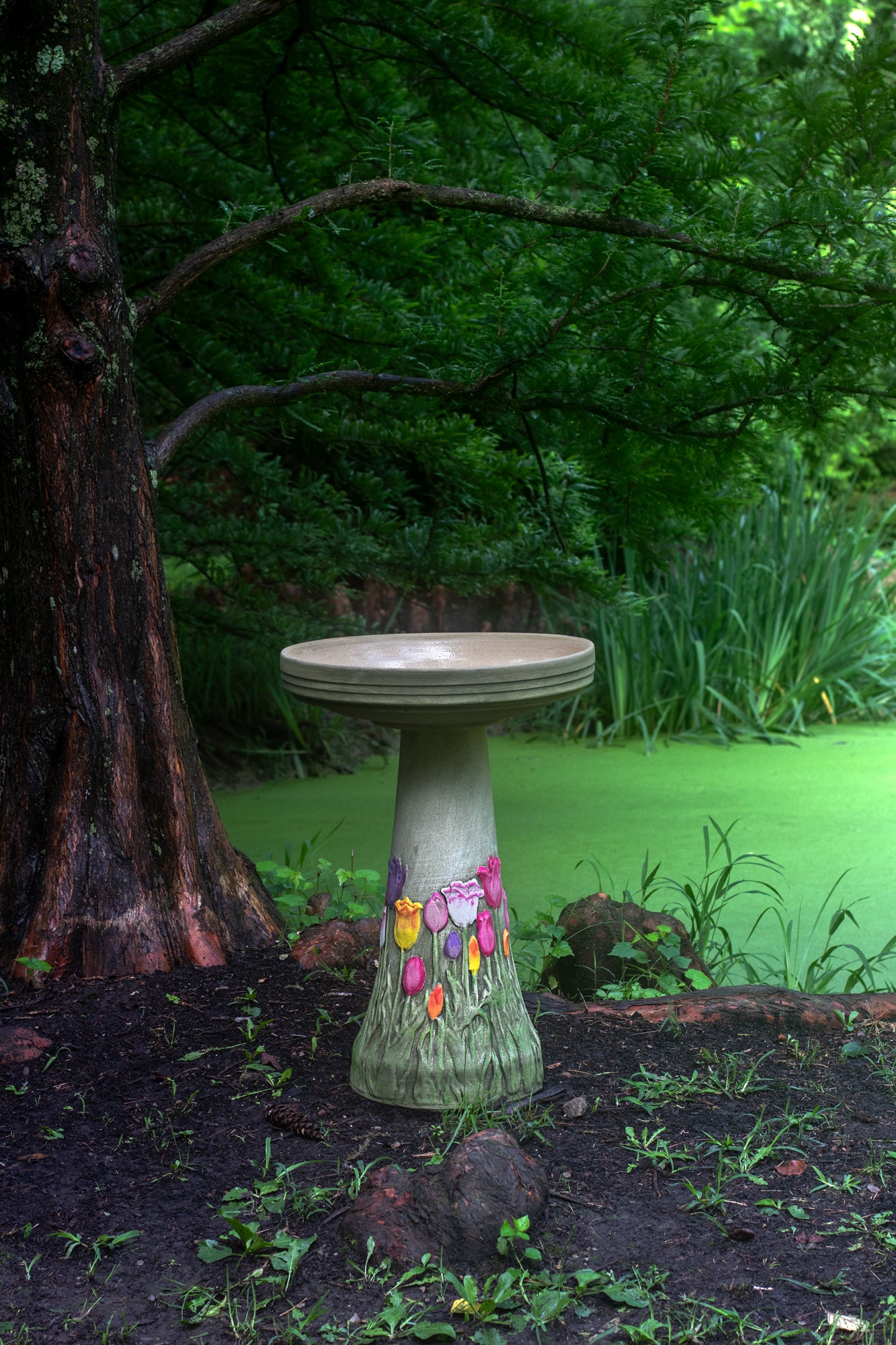 Decorative bird bath with colorful tulip flowers near a mossy pond  under a great old pine tree