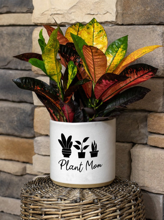 Plant Mom Vinyl Pot