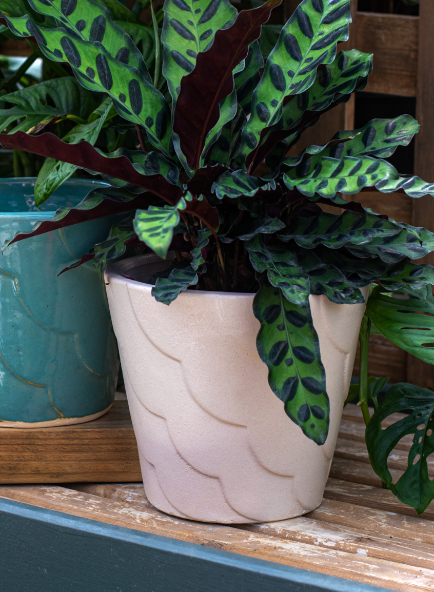 small white ceramic planter with ribbon design and green indoor plant