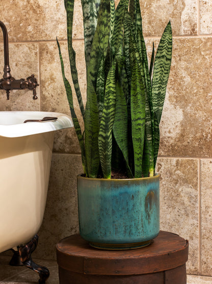 medium turquoise ceramic cylinder planter in a modern style sitting on a box next to a claw foot bathtub