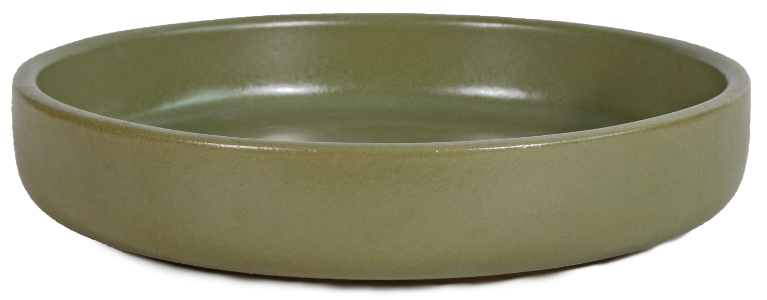 small shallow dish planter in green color