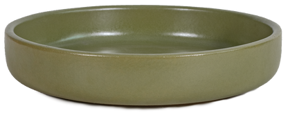 small shallow dish planter in green color