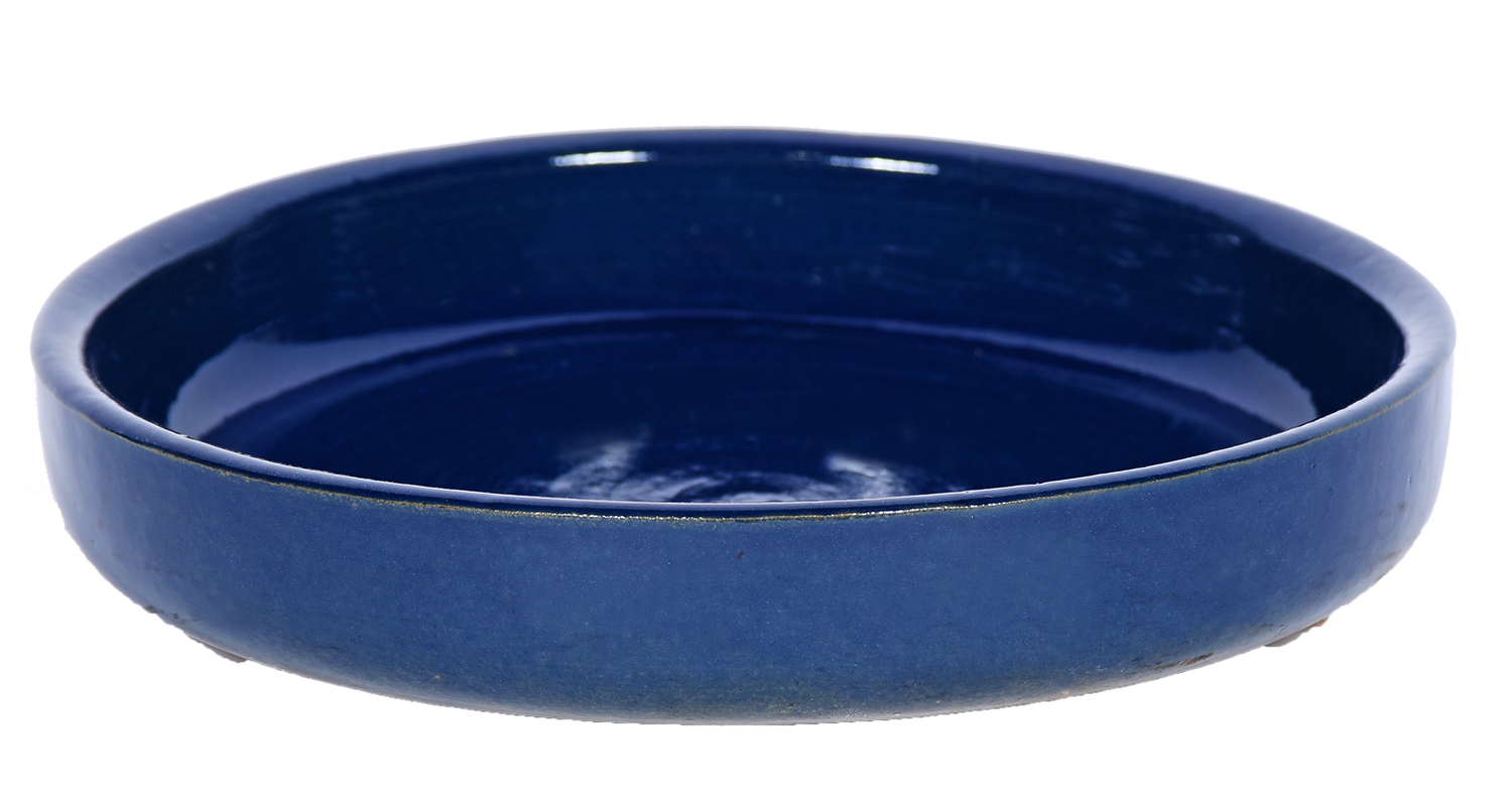 small shallow dish planter in Blue color