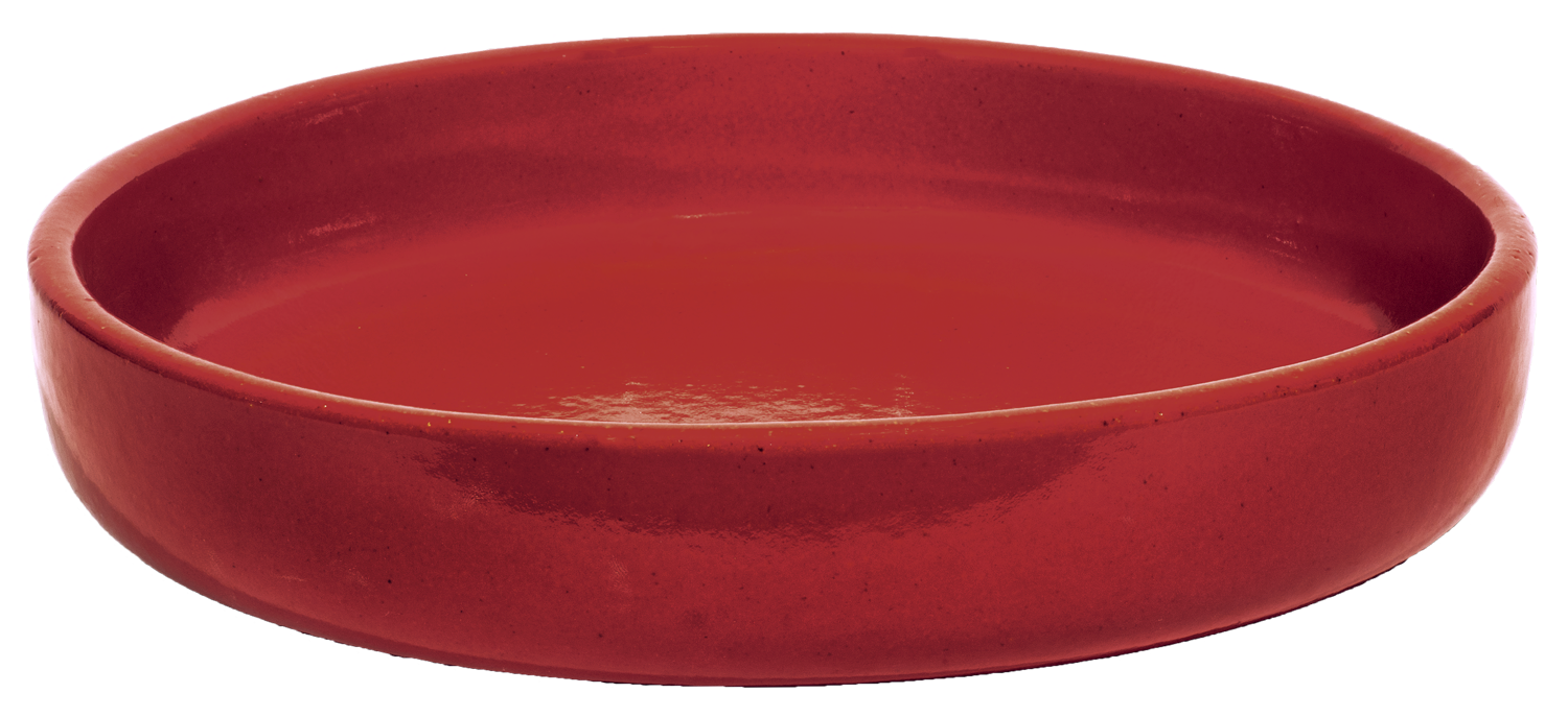 small shallow dish planter in red color