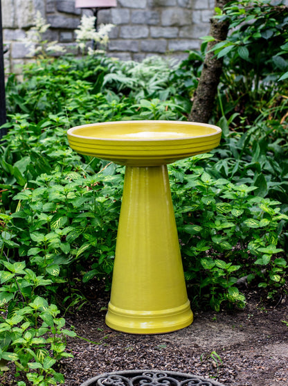 ceramic yellow birdbath with simple modern smooth design in a landscaped garden setting