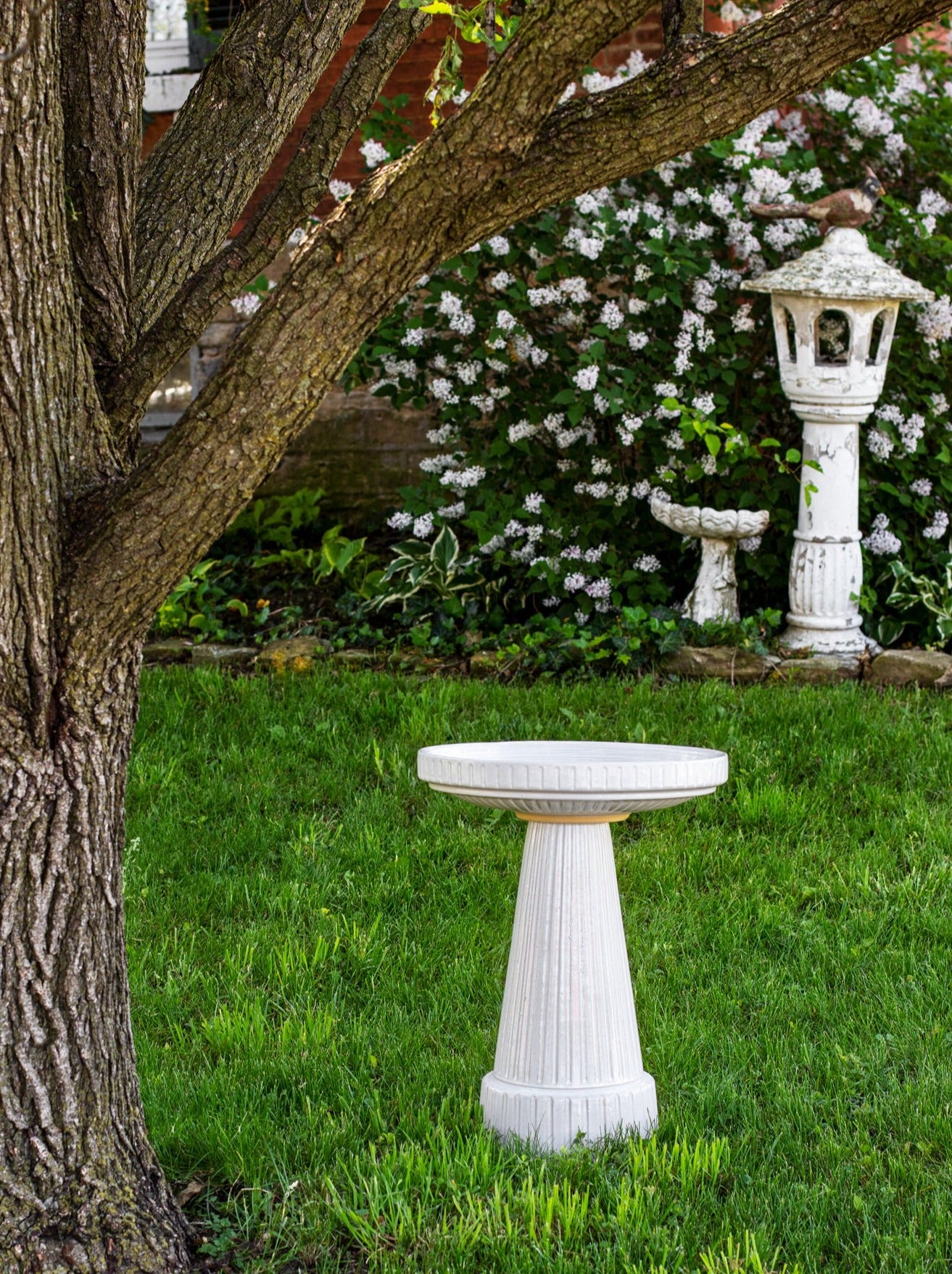 ceramic white birdbath with stripped design in a landscaped garden setting